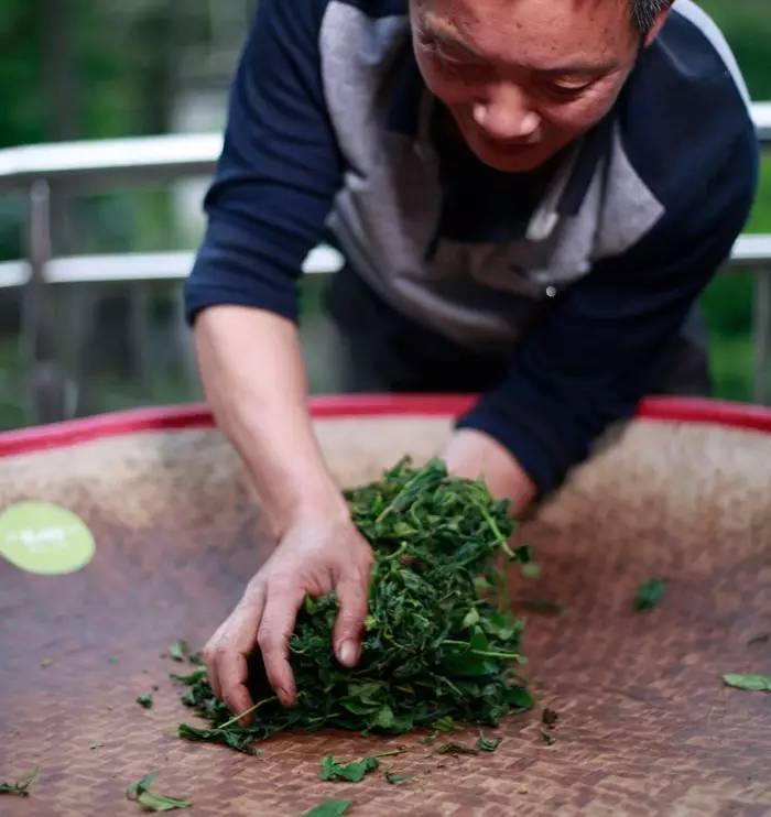 真正的金骏眉是什么样子的,金骏眉究竟什么样子的