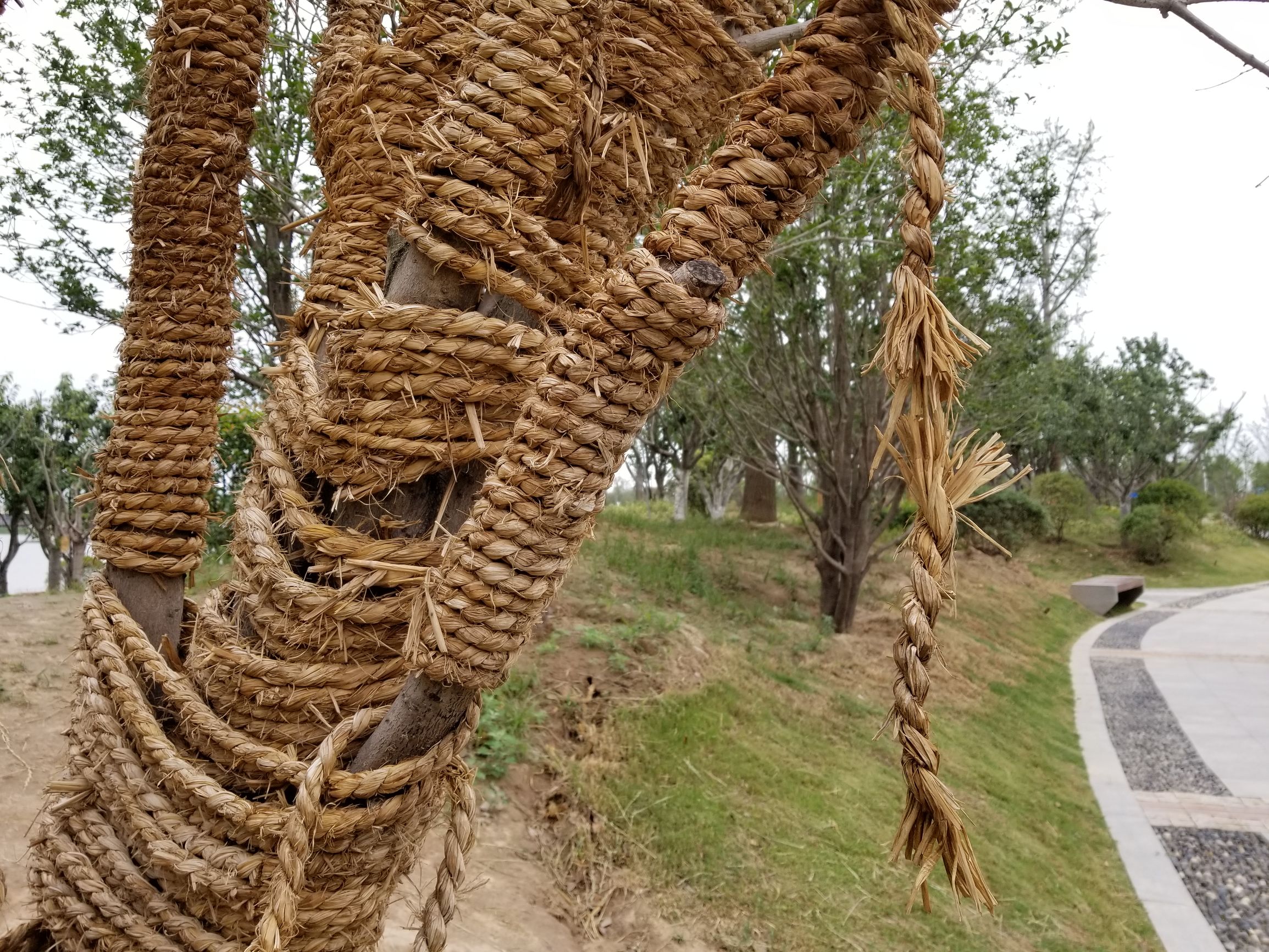 使用了半年的三星,盖乐世s8功能