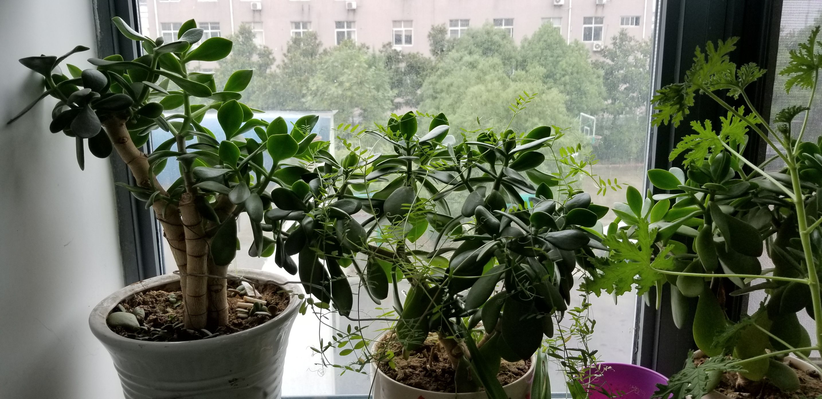 当年的三星s8才是最惊艳的,三星galaxys8有多惊艳