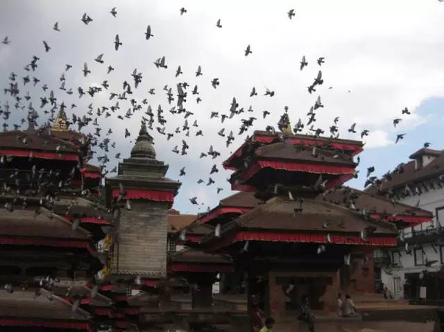 肇庆海外自由行,肇庆出国旅游