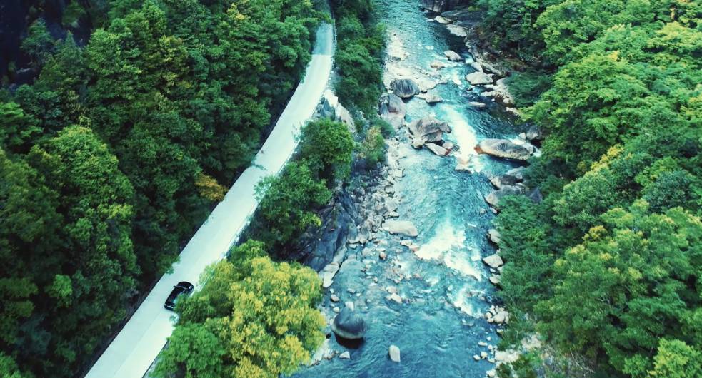 真正的金骏眉是什么样子的,金骏眉究竟什么样子的