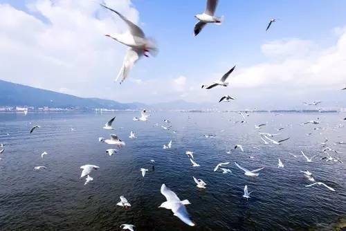 三月北京机票最低价,6月机票哪里最便宜