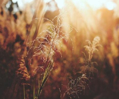 适合发朋友圈有意义的句子短句,十大适合发朋友圈的经典句子