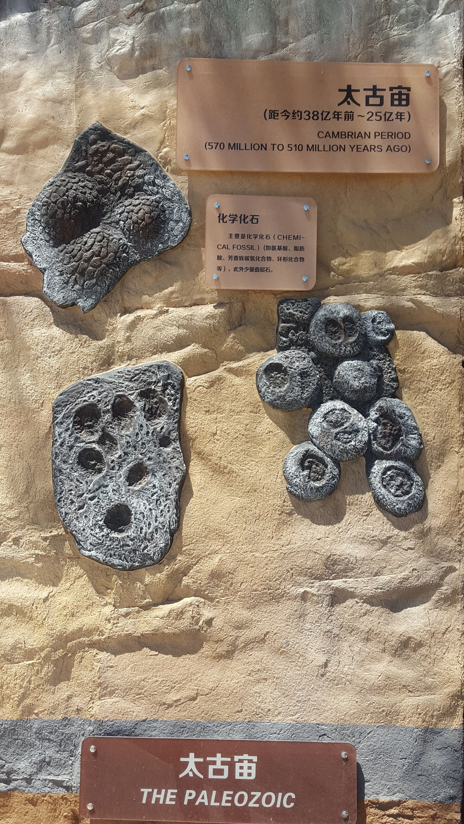 加强高等职业院校学生的技能培训,高等职业教育实训基地