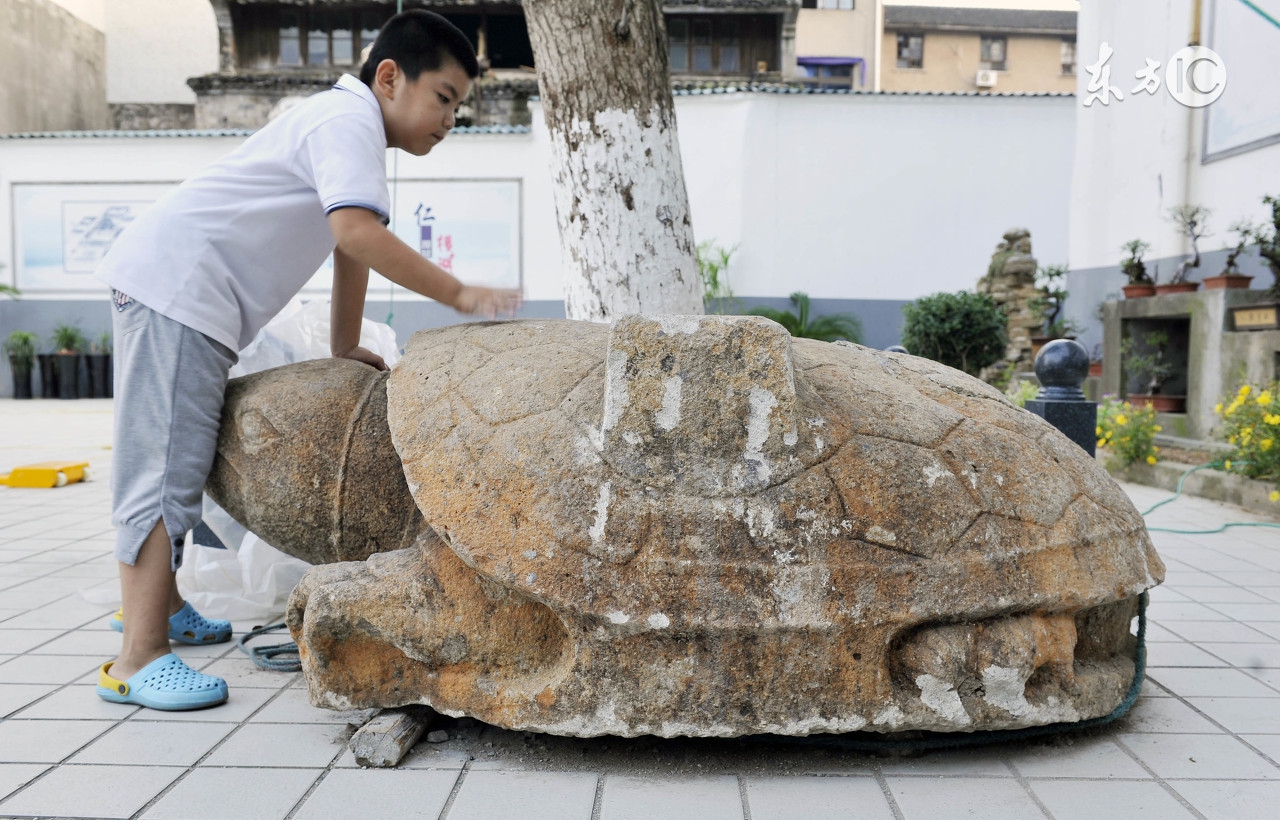 吃龟抗癌有依据吗,野生龟对癌症有效吗