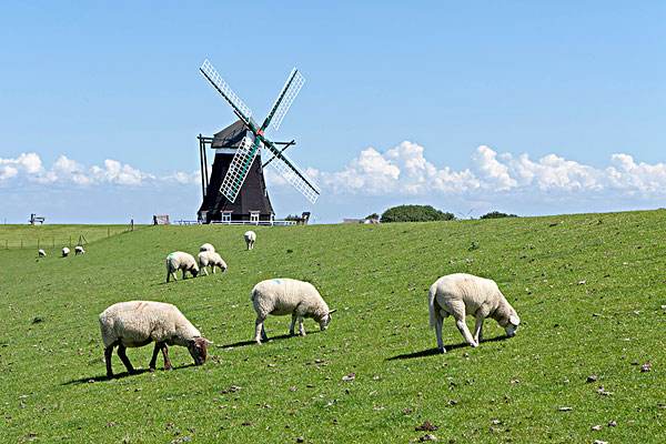 德国奶粉好还是荷兰奶粉好,进口奶粉有哪些品牌