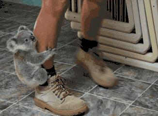 海淘新手怎么选择转运公司,美国转运公司