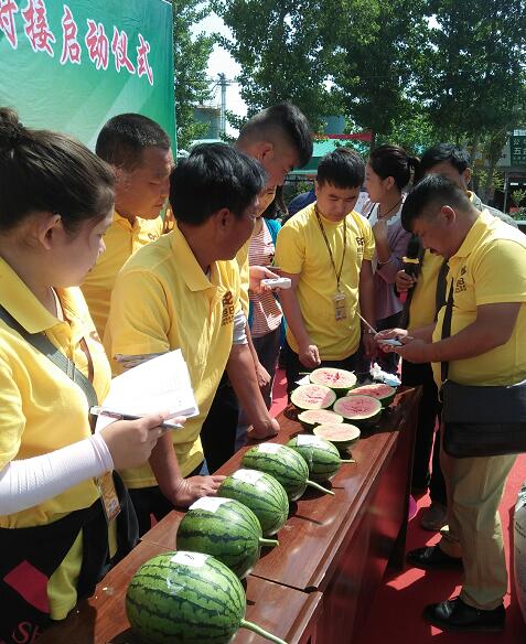 鑱氱劍涓夊啘绉嶆钄彍,鑱氱劍涓夊啘姘寸ɑ绉嶆