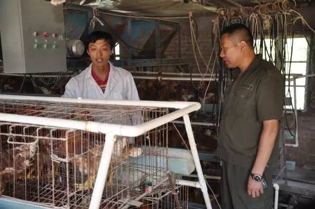 「双创百杰」鸡和蛋的故事—龙镇农场创业青年蓝翔