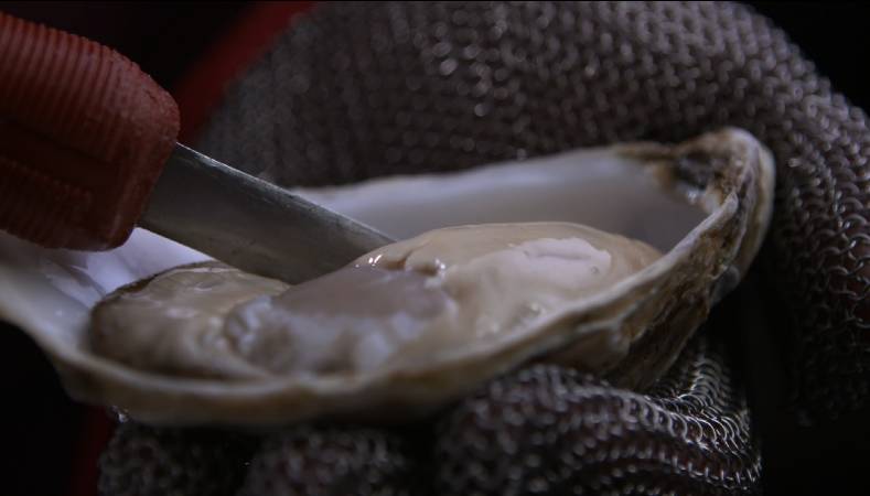 生蚝!生蚝!不可描述的功能让国人着迷,今天老广教你“蚝门九式”,从普通吃货晋级资深老饕