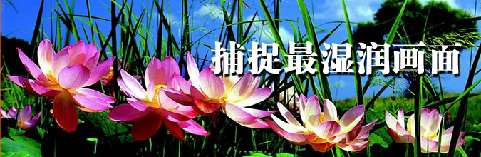 世界物种基因库在什么地方,探秘人类基因