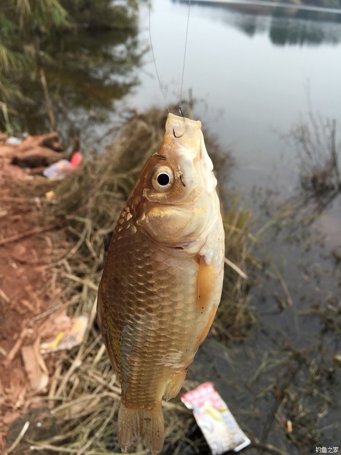 2016第四钓大腰水库