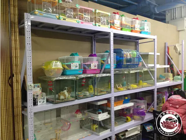 北京回龙观花鸟鱼虫,昌平回龙观附近的花鸟鱼虫市场