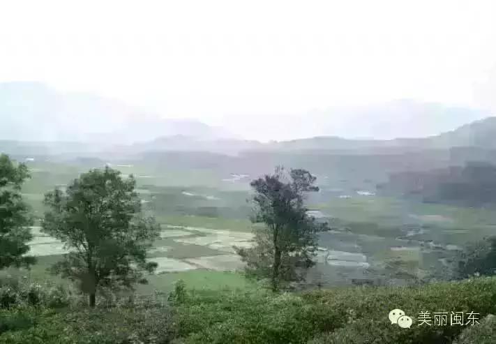 包吃住宁德农家乐地址,宁德古田翠屏湖农家乐