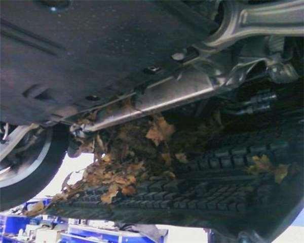 开不到5千公里的奥迪车出现异音,开回原厂维修时令人哭笑不得