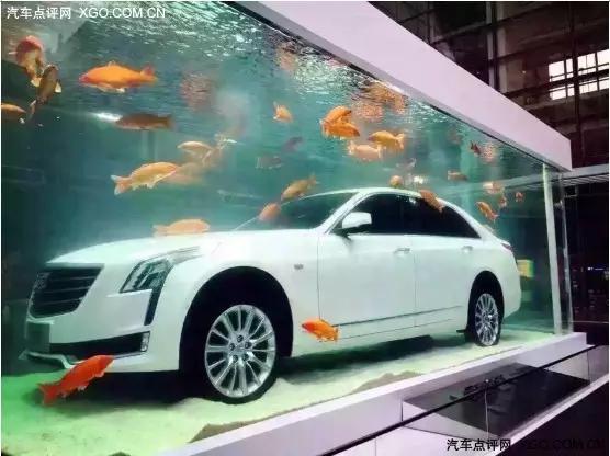 汽车进鱼缸是为了向星爷致敬?盘点惊艳的车企营销