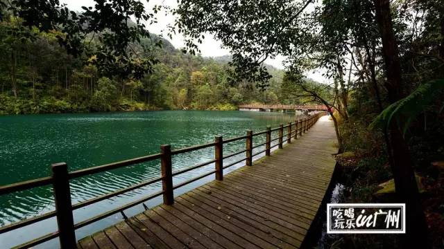 广州最新最美最好玩的景点,广州最值得去玩的景点推荐一下