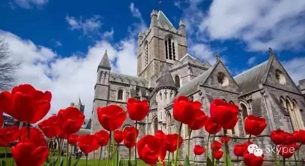 skype隐身技巧,skype怎么更改约会时间