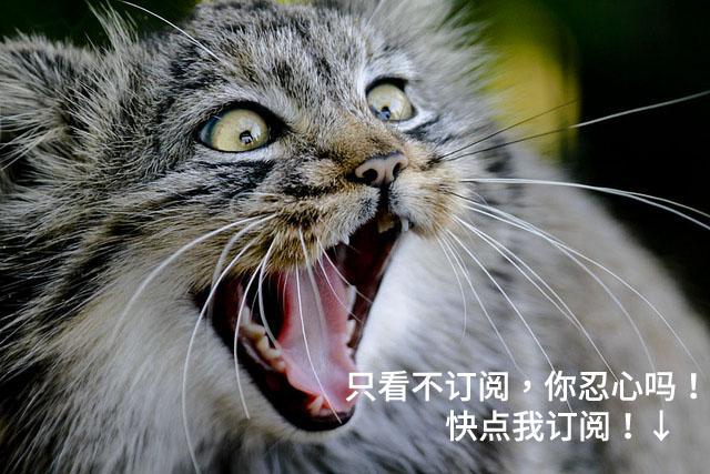 快看！我们考过那么多次方程式的化学反应，原来长这样！