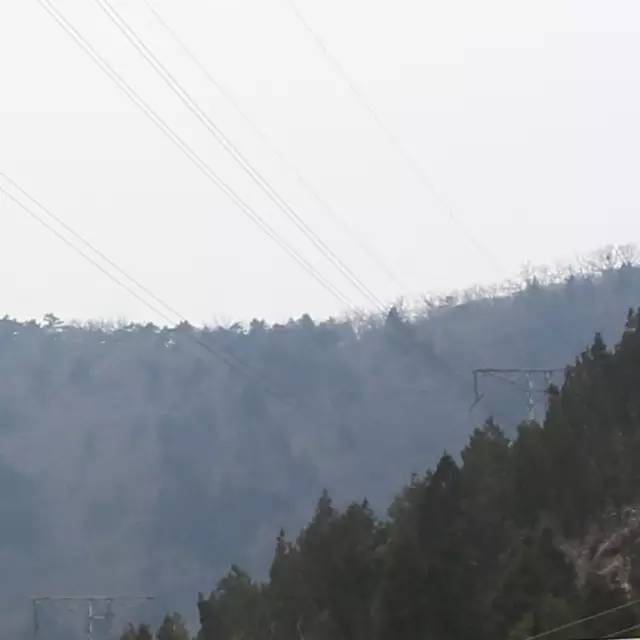 为什么拍出来的照片细节不清新,拍的照片不清楚怎么弄清楚