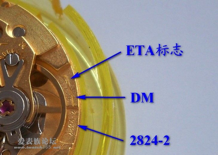 怎样鉴定手表是ETA2824、2836机芯的，说几点给新人