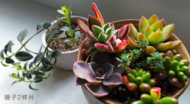 锤子smartisan坚果pro手机评测,锤子手机smartisant2