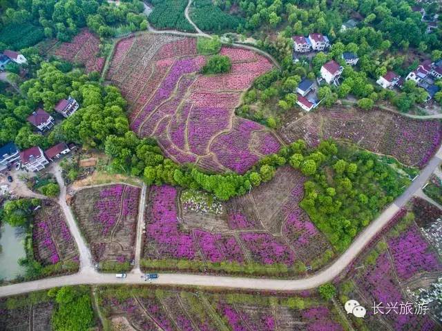 长兴一不小心,湖州长兴成了“中国最美休闲胜地”!
