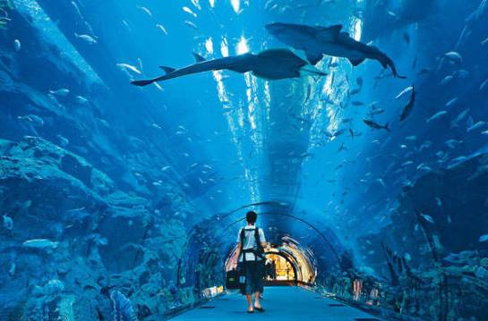 河北带孩子去最好玩的游乐场,河北最大的儿童室内游乐场