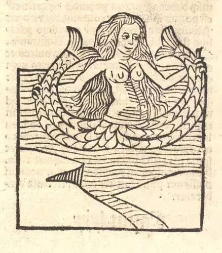 星巴克logo上是男是女,星巴克logo高清图片