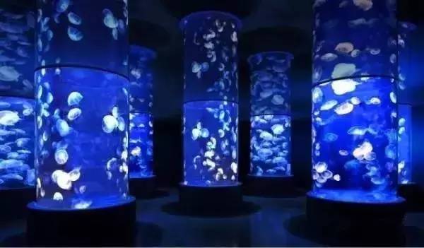 河北带孩子去最好玩的游乐场,河北最大的儿童室内游乐场