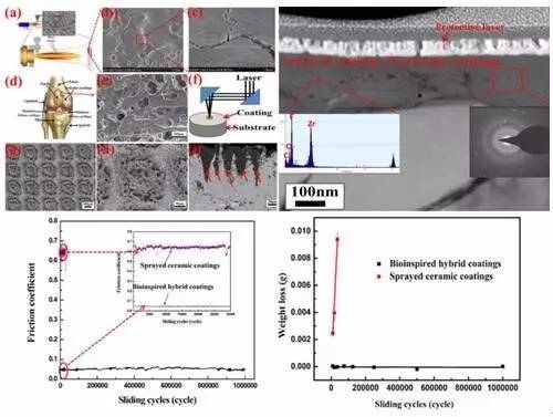 摩擦！摩擦！在“陶瓷”表面光滑的摩擦！