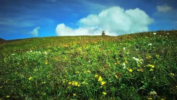 面朝大海春暖花开海子去哪了,海子生命绝唱面朝大海春暖花开