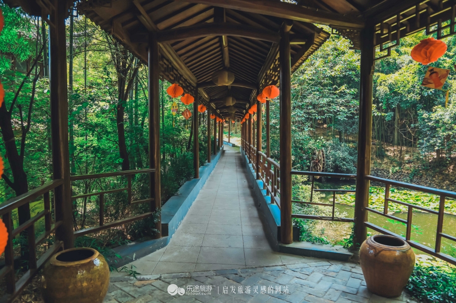 去木子山庄感受禅意，去观察奇曲茶