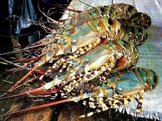 吃海鲜最佳推荐的地方,喜欢吃海鲜的绝对不能错过