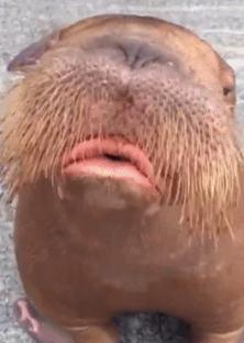 我有一个让右手休息的大胆想法