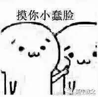 如何用最少的钱买到玛莎拉蒂,斗牛犬怎么买