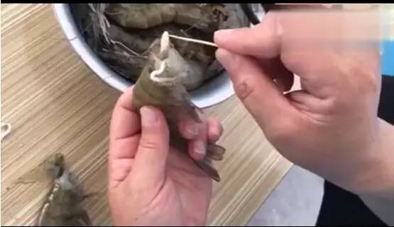 大虾冷冻后还有寄生虫吗,大虾身上有寄生虫怎么办