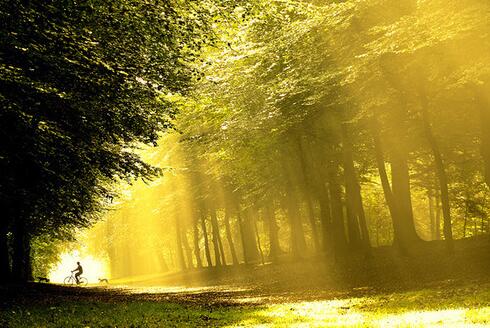 快速成为精英的四大标准,如何快速成为领导心腹的六种方法