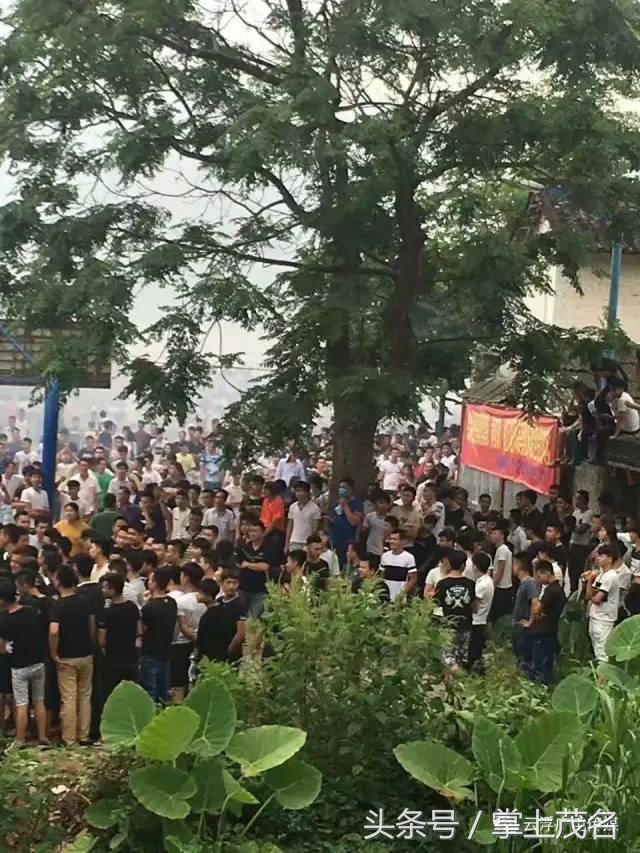 云浮市跳河事件,云浮南山河跳河