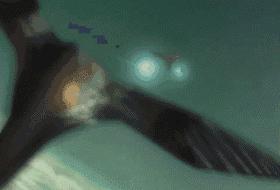 是男人就要*飞机打**，二次元的飞机更棒哦