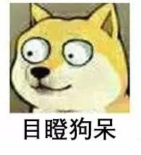 外媒看万万没想到,王俊凯2019高考