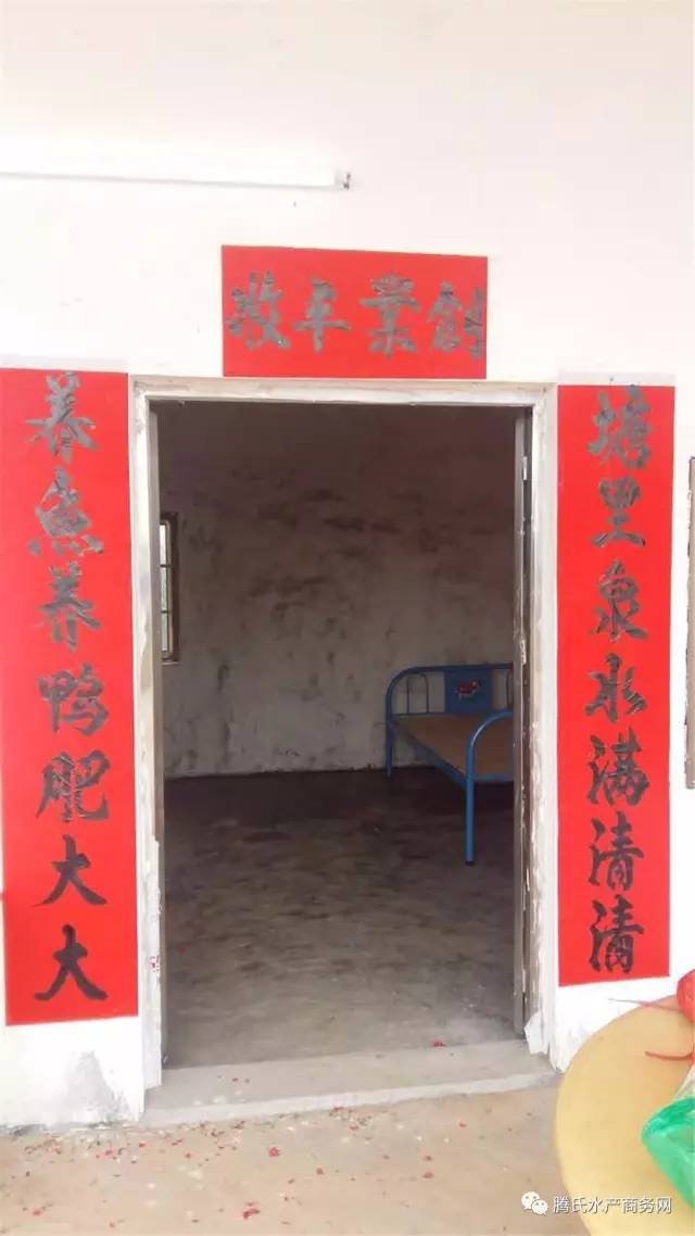 低成本养殖罗非,罗非养殖放养密度