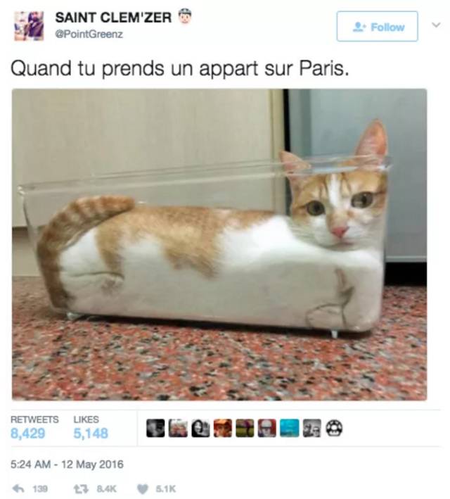 法国巴黎旅游吐槽,在法国旅行吐槽