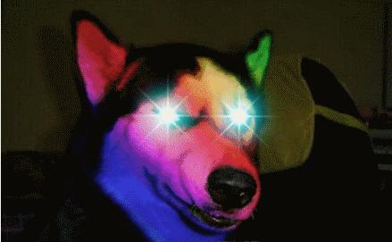 动漫中的眯眯眼果然都是怪物,盘点眯眼杀的动漫人物