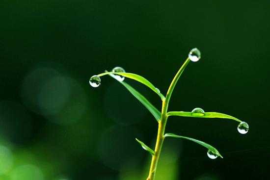 姝h兘閲忛闆ㄤ箣鍚庢湁褰╄櫣,鑳介噺缇庢枃