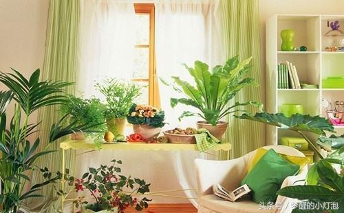 买房是大事一定要观察周边环境,买房那些大小事