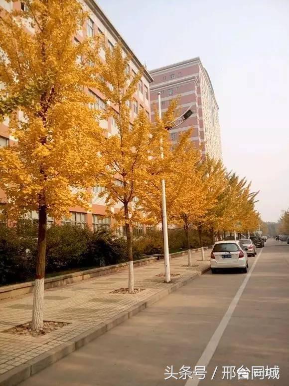 邢台学院近况,关于邢台学院