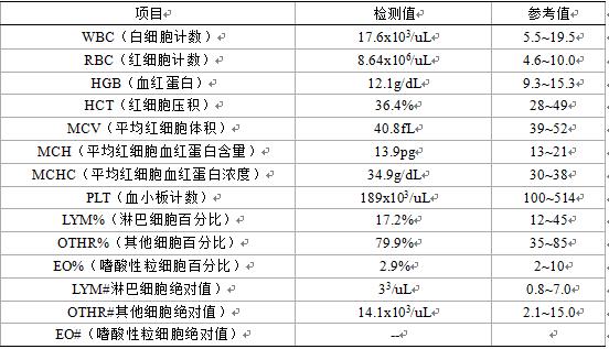 猫咪肾衰竭少尿期,英短公猫肾衰竭治疗