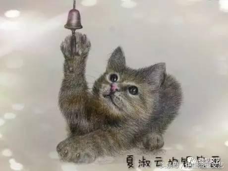 王子红尘品读美静杯诗歌