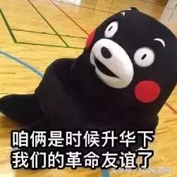 鐢ㄥ摢绉嶆柟寮忕寽棰樻鐜囬珮,鎬庝箞绔炵寽鍥借冻姣旇禌缁撴灉